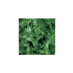 AS210-ALBERO-ASPEN-SLIM-FOGLIAME-VI.MA-EMMANUELEREGALI