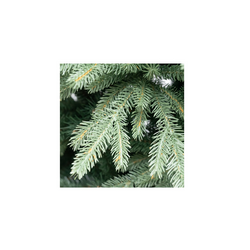 AS210-Albero-Aspen-Slim-vi.ma-emmanuelereali