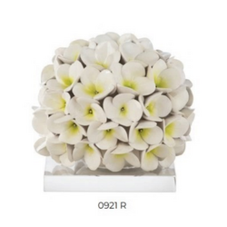 0921R Pianta ortensia-glialberelli-bombonieraperfetta-emmanueleregali