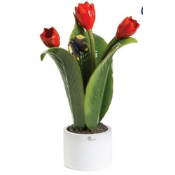 0907T Tulipano-glialberelli-emmanueleregali