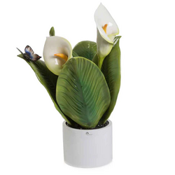 0908C Albero pianta natura media calla-glialberelli-emmanueleregali