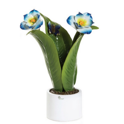 0907E Pianta natura con fiori blu-glialberelli-emmanueleregali