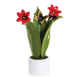 0907I Pianta Natura rossi fiori-glialberelli-emmanueleregali