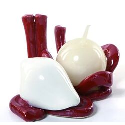 C21C Portacandela corallo-glialberelli-bombonieraperfetta-emmanueleregali