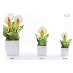 Pianta quadra calla-glialberelli-bombonieraperfetta-emmanueleregali-bombonieraperfetta