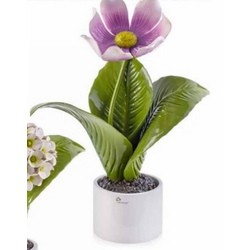 0906FL Pianta natura media fiore lillà-glialberelli-emmanueleregali