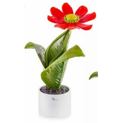 0906FR Pianta fiore rosso-glialberelli-emmanueleregali