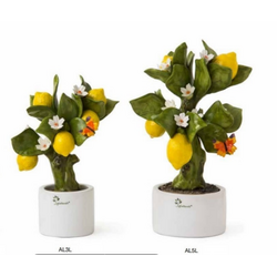 Alberelli Allegri limone-Gli alberelli-emmanueleregali