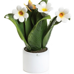 0908Cm Pianta Natura-Glialberelli-emmanueleregali