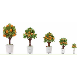 Alberelli Arance-Gli Alberelli-emmanueleregali