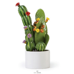 Q7 Pianta tripla-glialberelli-bombonieraperfetta-emmanueleregali