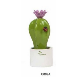 Q899A Pianta grassa-glialberelli-bombonieraperfetta-emmanueleregali