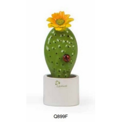 Q899F Pianta mignon-glialberelli-bombonieraperfetta-emmanueleregali