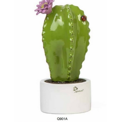 Q901A Pianta grassa media-glialberelli-bombonieraperfetta-emmanueleregali