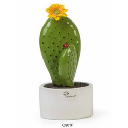 Q901 Pianta grassa-glialberelli-bombonieraperfetta-emmanueleregali