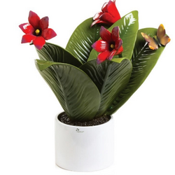 0908I piantanatura media-glialberelli-emmanueleregali