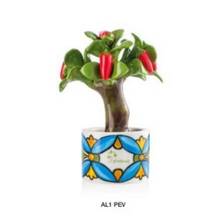 AL1 PEV Albero Peperoncino positano-glialberelli-bombonieraperfetta-emmanueleregali