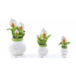 Piantina calla-glialberelli-emmanueleregali-bombonieraperfetta