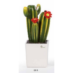 Q5S Piantina amica fiore rosso-glialberelli-emmanueleregali-bombonieraperfetta