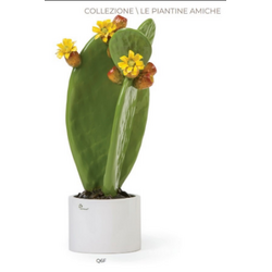 Q6F Pianta grassa fico d'india-glialberelli-bombonieraperfetta-emmanueleregali