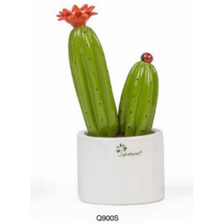 Q900S Piantina fiore rosso piccola-glialberelli-bombonieraperfetta-emmanueleregali