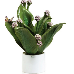 0908LI Pianta natura media-glialberelli-emmanueleregali