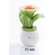 F2 MA Piantina piccola margherita-glialberelli-bombonieraperfetta-emmanueleregali