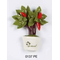 0137PE Magnete peperoncino-glialberelli-bombonieraperfetta-emmanueleregali