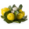0186 portacandela limone-glialberelli-emmanuelregali