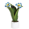 0907E Pianta natura con fiori blu-glialberelli-emmanueleregali
