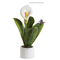 0907C Pianta natura calla-glialberelli-emmanueleregali