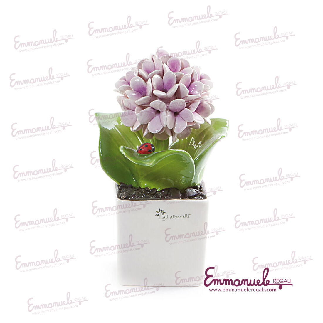 D2R-12x18-Pianta quadra Ortensia - Gli Alberelli-emmanueleregali-bombonieraperfetta (2)